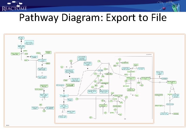 Pathway Diagram: Export to File Pathway Diagram: Export to File