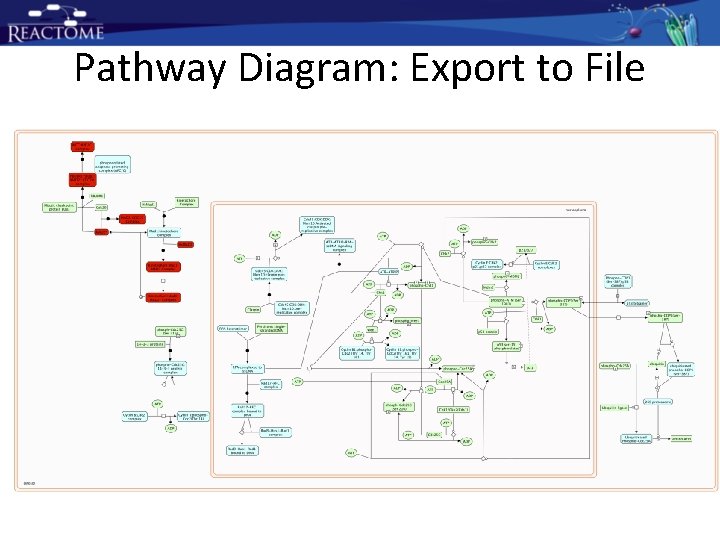 Pathway Diagram: Export to File Pathway Diagram: Export to File