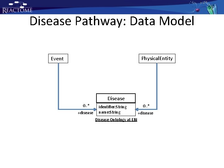 Disease Pathway: Data Model Physical. Entity Event Disease 0. . * +disease identifier: String Disease Pathway: Data Model Physical. Entity Event Disease 0. . * +disease identifier: String