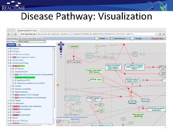 Disease Pathway: Visualization Disease Pathway: Visualization
