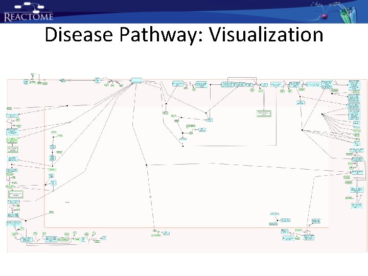 Disease Pathway: Visualization Disease Pathway: Visualization