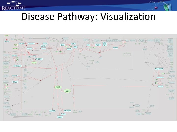 Disease Pathway: Visualization Disease Pathway: Visualization