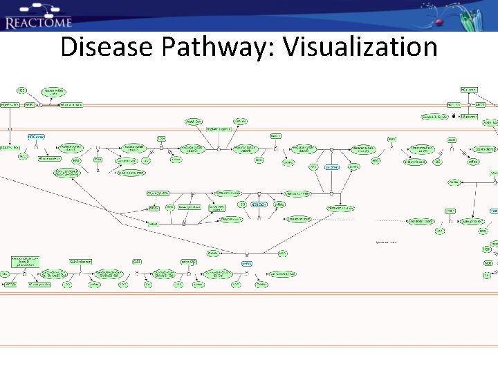 Disease Pathway: Visualization Disease Pathway: Visualization