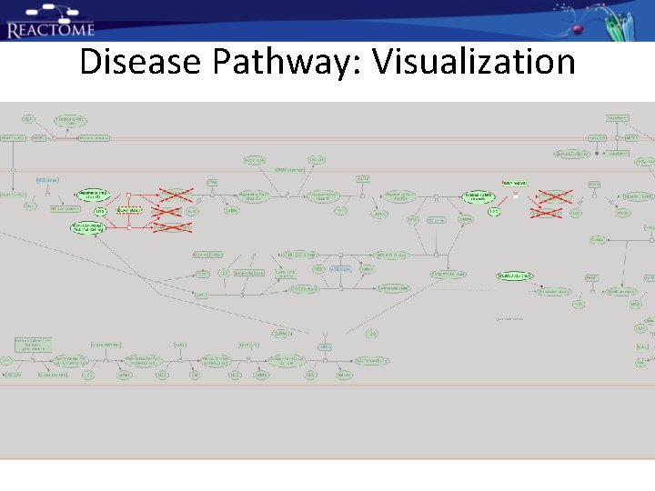 Disease Pathway: Visualization Disease Pathway: Visualization
