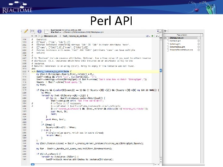 Perl API Perl API