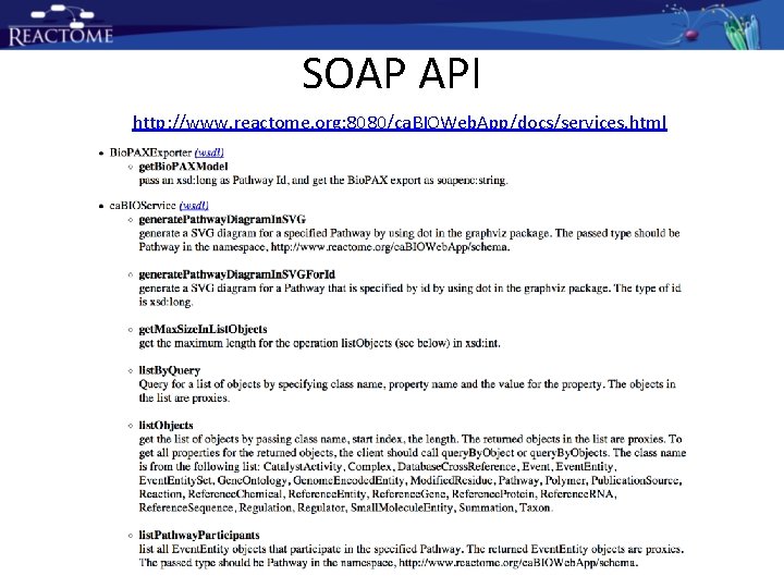 SOAP API http: //www. reactome. org: 8080/ca. BIOWeb. App/docs/services. html SOAP API http: //www. reactome. org: 8080/ca. BIOWeb. App/docs/services. html