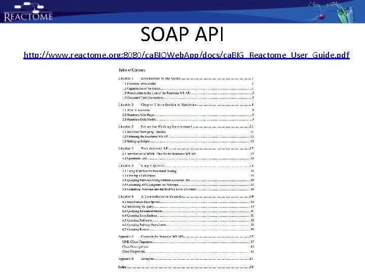 SOAP API http: //www. reactome. org: 8080/ca. BIOWeb. App/docs/ca. BIG_Reactome_User_Guide. pdf SOAP API http: //www. reactome. org: 8080/ca. BIOWeb. App/docs/ca. BIG_Reactome_User_Guide. pdf