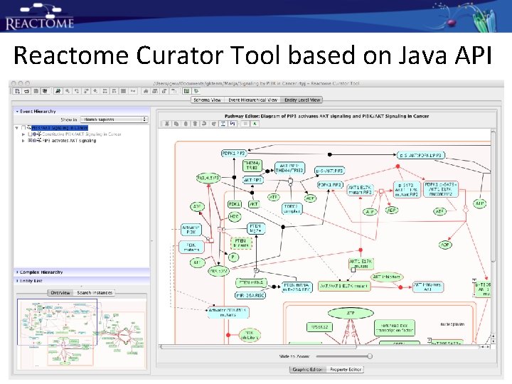 Reactome Curator Tool based on Java API Reactome Curator Tool based on Java API