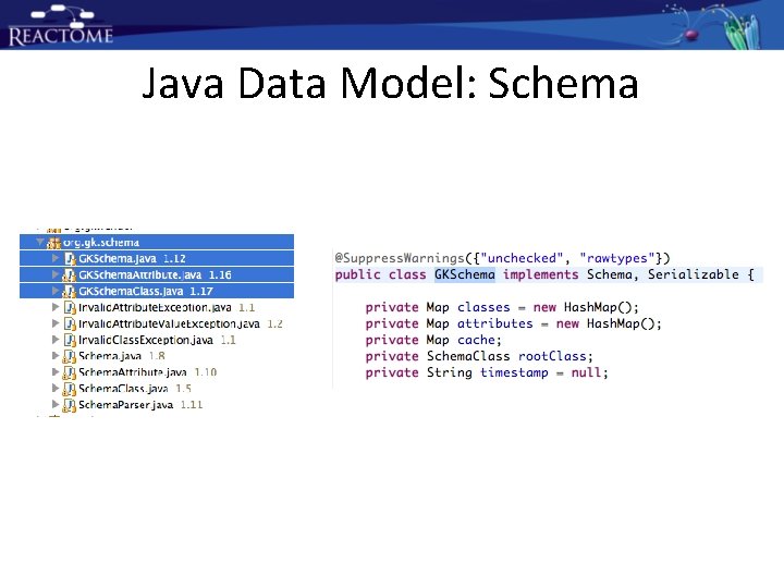 Java Data Model: Schema Java Data Model: Schema