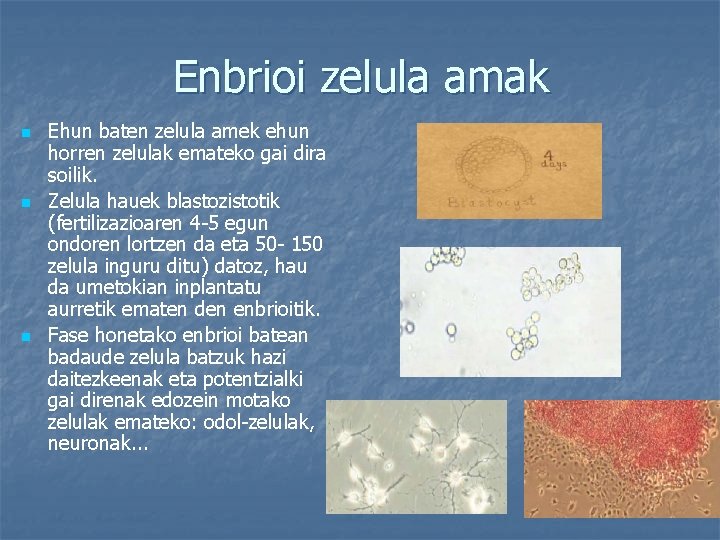 Enbrioi zelula amak n n n Ehun baten zelula amek ehun horren zelulak emateko