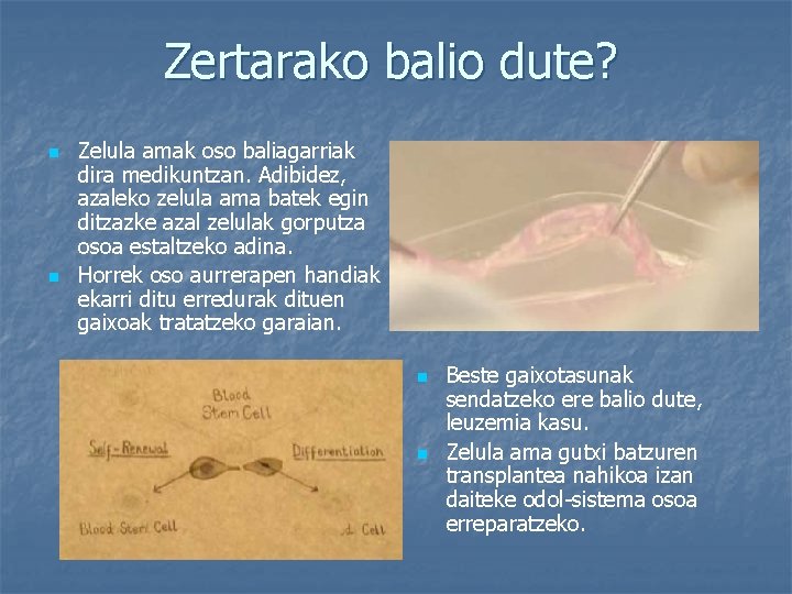 Zertarako balio dute? n n Zelula amak oso baliagarriak dira medikuntzan. Adibidez, azaleko zelula