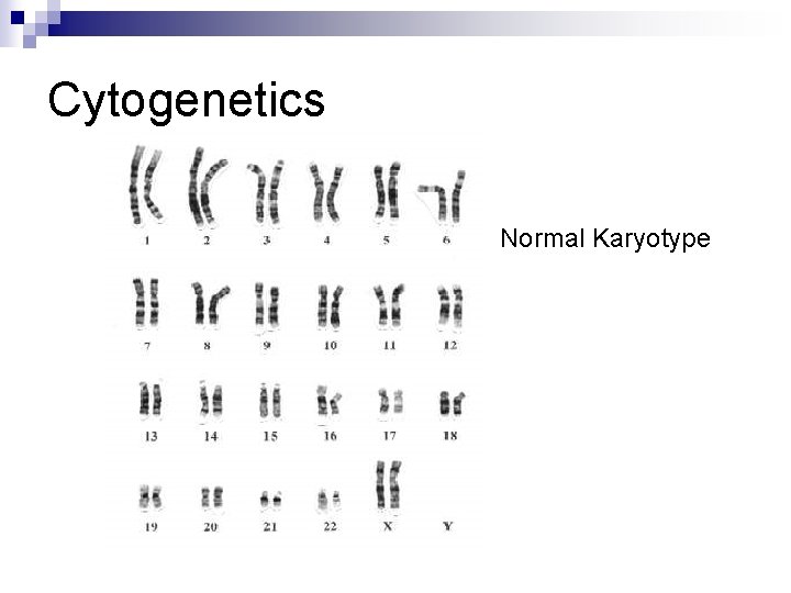 Cytogenetics Normal Karyotype 