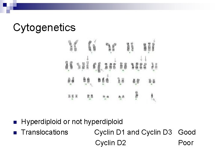 Cytogenetics n n Hyperdiploid or not hyperdiploid Translocations Cyclin D 1 and Cyclin D