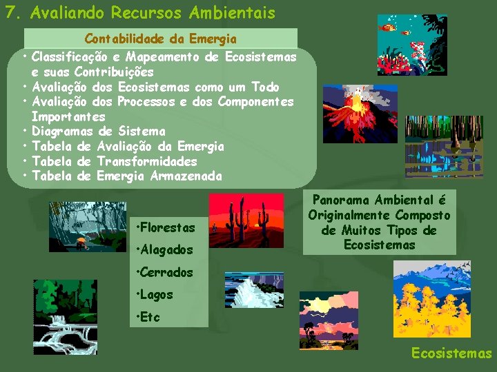 7. Avaliando Recursos Ambientais • • Contabilidade da Emergia Classificação e Mapeamento de Ecosistemas