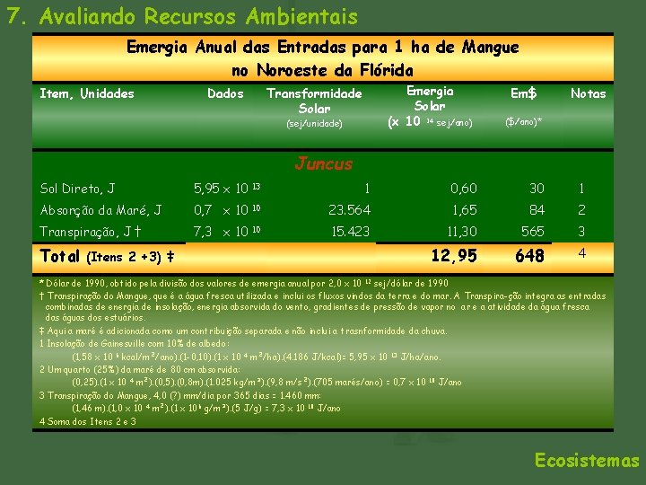 7. Avaliando Recursos Ambientais Emergia Anual das Entradas para 1 ha de Mangue no