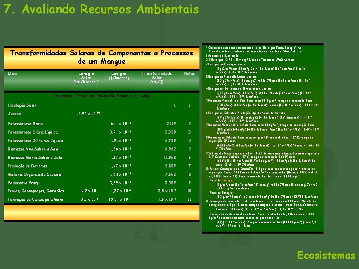 7. Avaliando Recursos Ambientais Transformidades Solares de Componentes e Processos de um Mangue Item