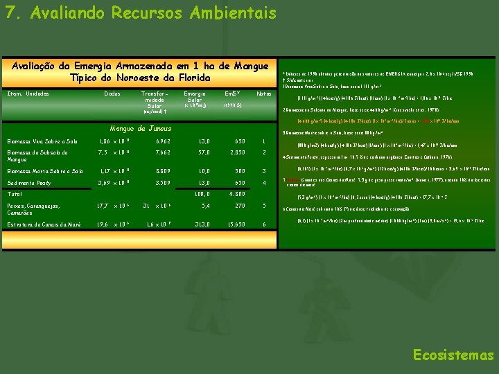 7. Avaliando Recursos Ambientais Avaliação da Emergia Armazenada em 1 ha de Mangue Típico