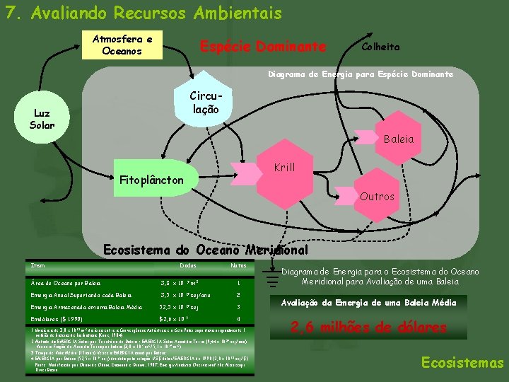 7. Avaliando Recursos Ambientais Atmosfera e Oceanos Espécie Dominante Colheita Diagrama de Energia para