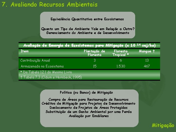 7. Avaliando Recursos Ambientais Equivalência Quantitativa entre Ecosistemas Quanto um Tipo de Ambiente Vale