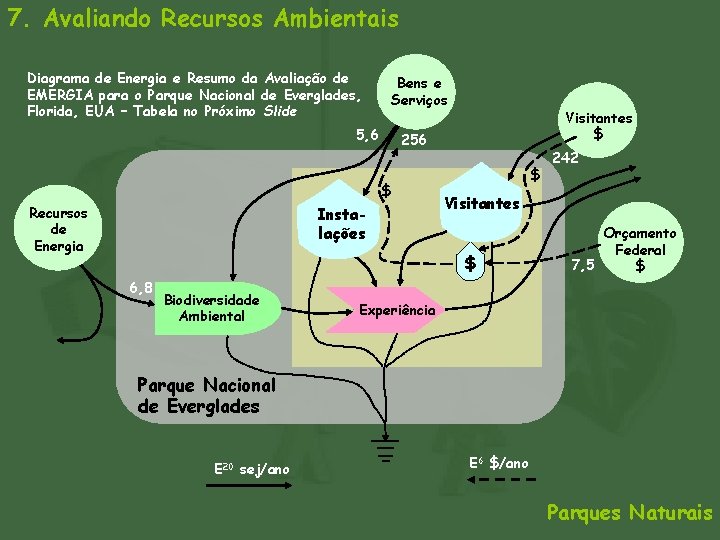 7. Avaliando Recursos Ambientais Diagrama de Energia e Resumo da Avaliação de EMERGIA para