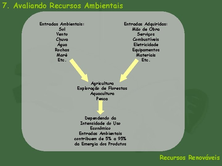 7. Avaliando Recursos Ambientais Entradas Ambientais: Sol Vento Chuva Água Rochas Maré Etc. Entradas