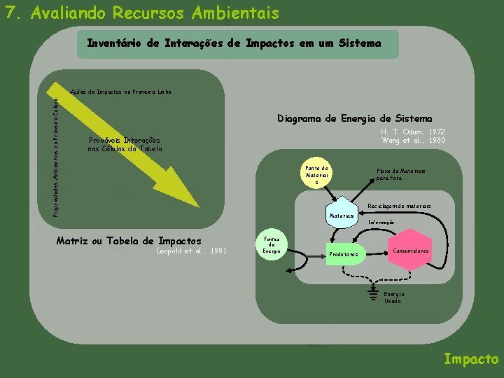 7. Avaliando Recursos Ambientais Inventário de Interações de Impactos em um Sistema Propriedades Ambientais