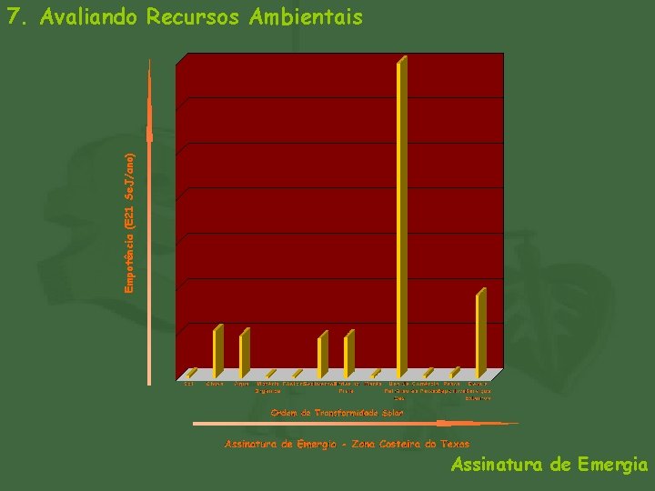 Empotência (E 21 Se. J/ano) 7. Avaliando Recursos Ambientais Assinatura de Emergia 