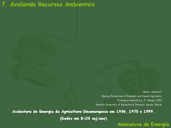 7. Avaliando Recursos Ambientais Haden, Andrew C. Emergy Evaluations of Denmark and Danish Agriculure