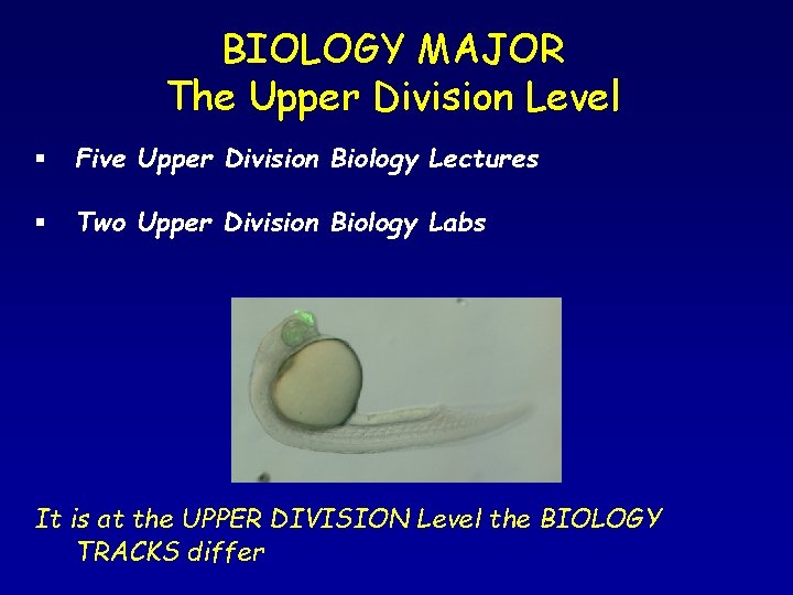 BIOLOGY MAJOR The Upper Division Level § Five Upper Division Biology Lectures § Two