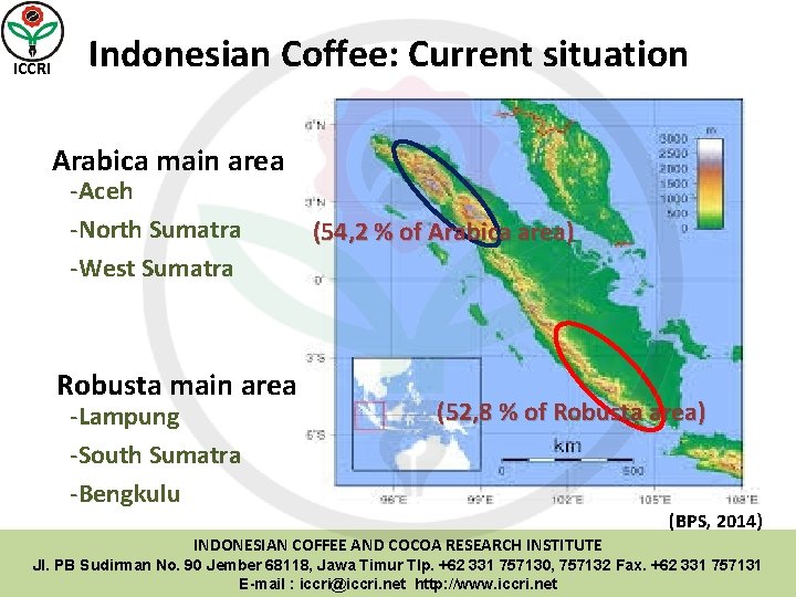 ICCRI Indonesian Coffee: Current situation Arabica main area -Aceh -North Sumatra -West Sumatra Robusta