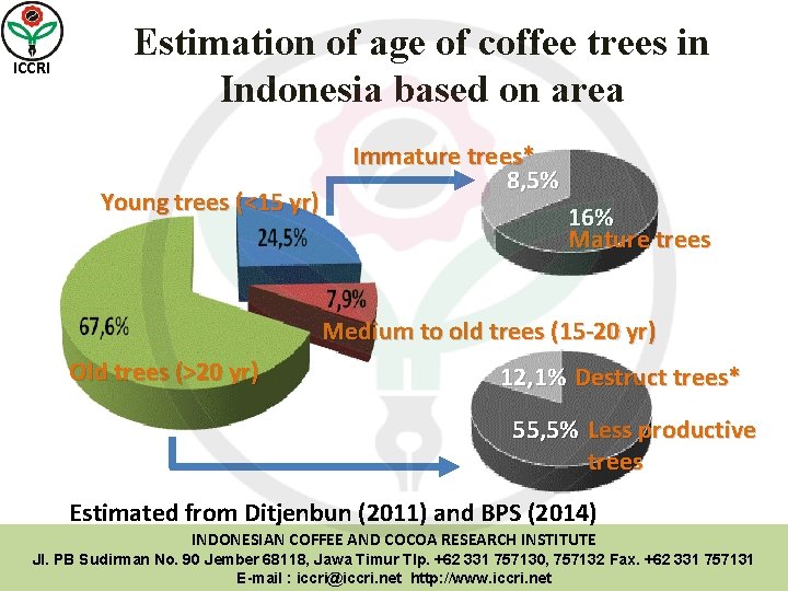 ICCRI Estimation of age of coffee trees in Indonesia based on area Young trees