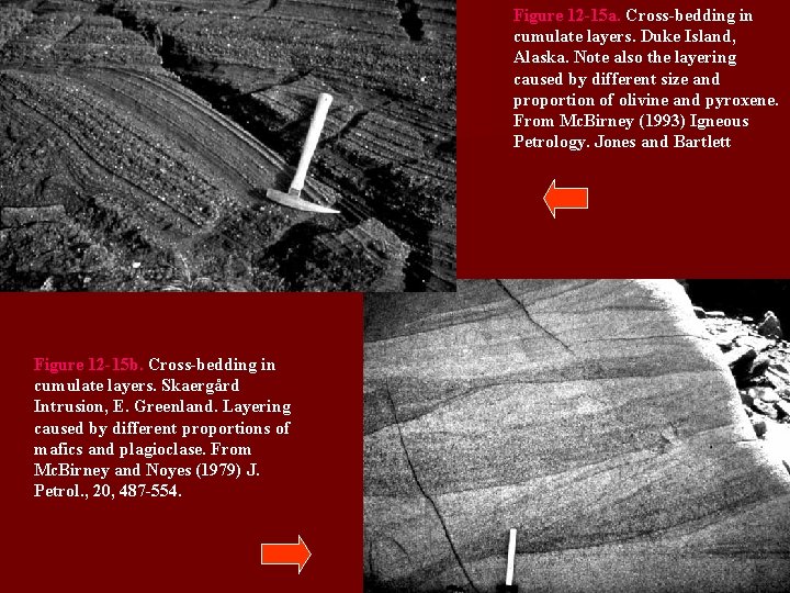 Figure 12 -15 a. Cross-bedding in cumulate layers. Duke Island, Alaska. Note also the