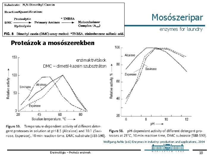 Mosószeripar enzymes for laundry Proteázok a mosószerekben enzimaktivitások DMC – dimetil kazein szubsztráton Wolfgang