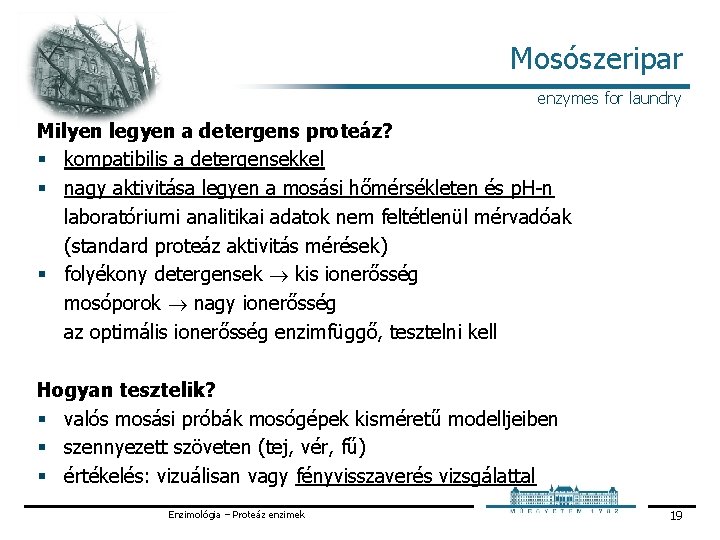 Mosószeripar enzymes for laundry Milyen legyen a detergens proteáz? § kompatibilis a detergensekkel §