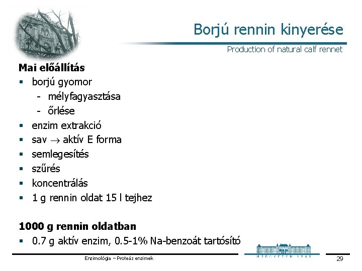 Borjú rennin kinyerése Production of natural calf rennet Mai előállítás § borjú gyomor mélyfagyasztása