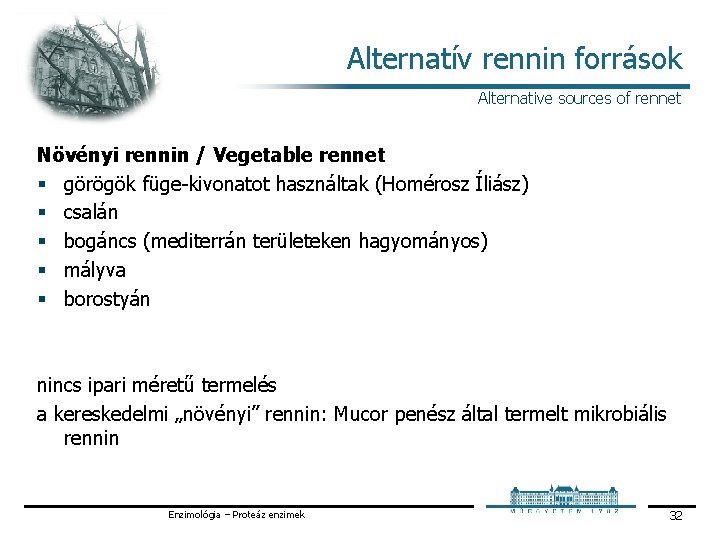 Alternatív rennin források Alternative sources of rennet Növényi rennin / Vegetable rennet § görögök