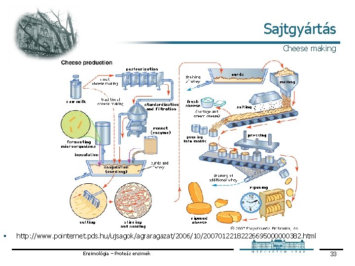 Sajtgyártás Cheese making § http: //www. pointernet. pds. hu/ujsagok/agraragazat/2006/10/20070122182226695000000382. html Enzimológia – Proteáz enzimek