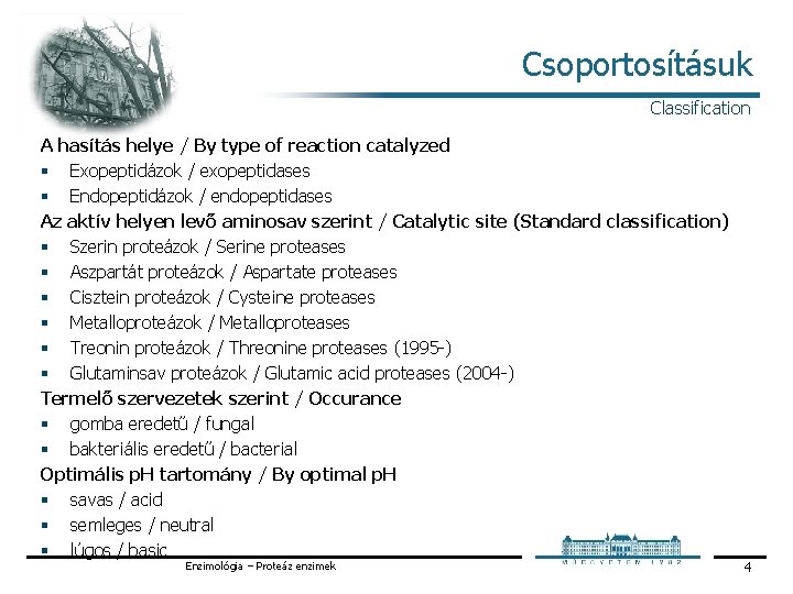 Csoportosításuk Classification A hasítás helye / By type of reaction catalyzed § Exopeptidázok /