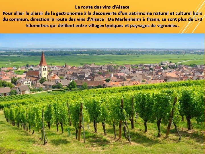 La route des vins d'Alsace Pour allier le plaisir de la gastronomie à la