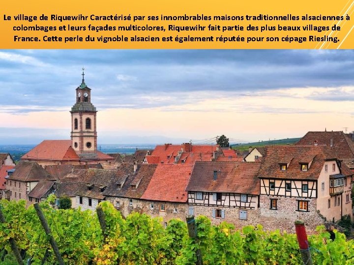 Le village de Riquewihr Caractérisé par ses innombrables maisons traditionnelles alsaciennes à colombages et