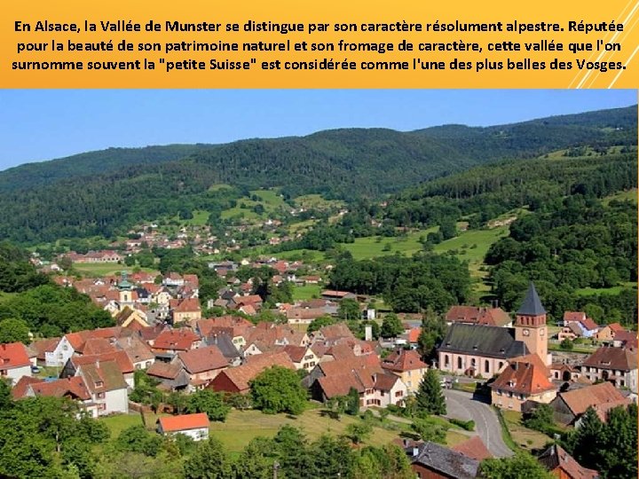 En Alsace, la Vallée de Munster se distingue par son caractère résolument alpestre. Réputée