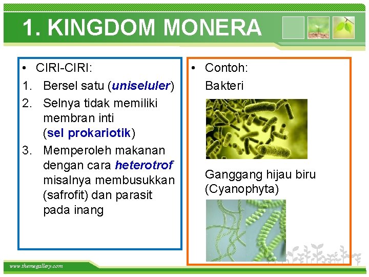 1. KINGDOM MONERA • CIRI-CIRI: 1. Bersel satu (uniseluler) 2. Selnya tidak memiliki membran