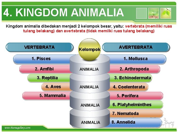 4. KINGDOM ANIMALIA Kingdom animalia dibedakan menjadi 2 kelompok besar, yaitu: vertebrata (memiliki ruas