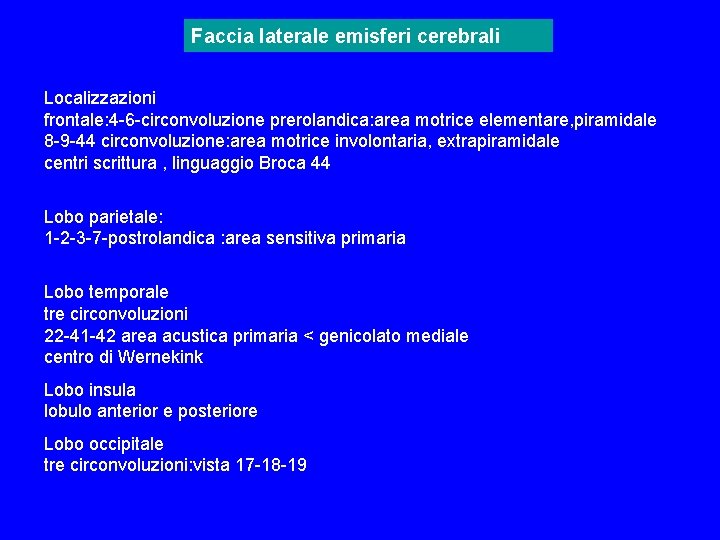 Faccia laterale emisferi cerebrali Localizzazioni frontale: 4 -6 -circonvoluzione prerolandica: area motrice elementare, piramidale