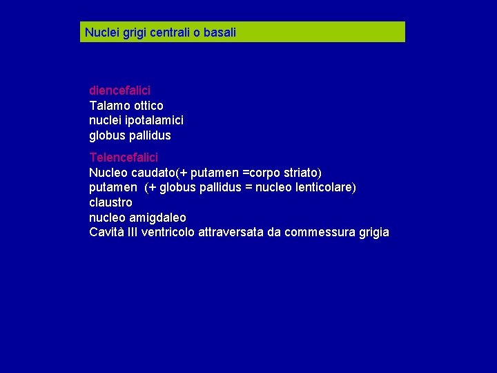 Nuclei grigi centrali o basali diencefalici Talamo ottico nuclei ipotalamici globus pallidus Telencefalici Nucleo