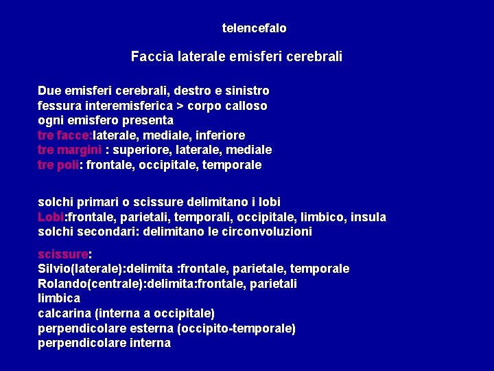 telencefalo Faccia laterale emisferi cerebrali Due emisferi cerebrali, destro e sinistro fessura interemisferica >