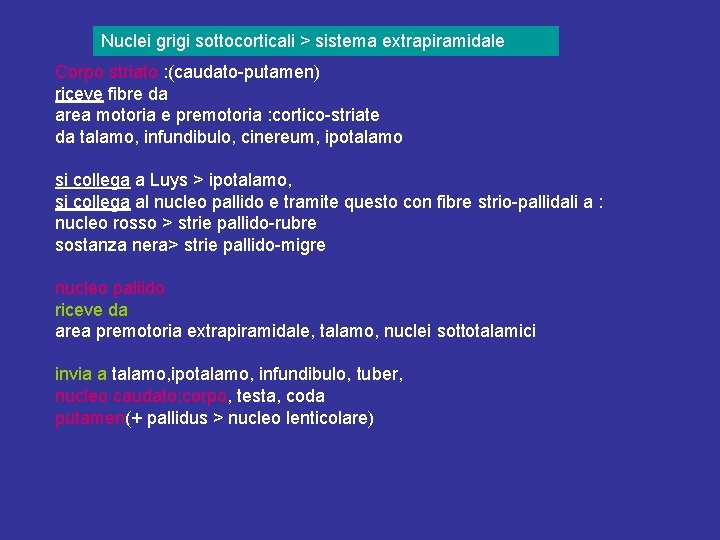 Nuclei grigi sottocorticali > sistema extrapiramidale Corpo striato : (caudato-putamen) riceve fibre da area