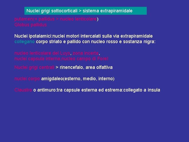 Nuclei grigi sottocorticali > sistema extrapiramidale putamen(+ pallidus > nucleo lenticolare) Globus pallidus Nuclei