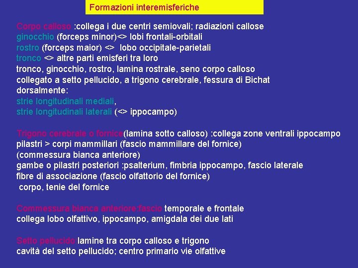 Formazioni interemisferiche Corpo calloso : collega i due centri semiovali; radiazioni callose ginocchio (forceps