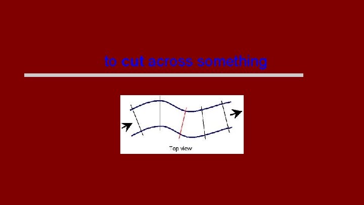 transect to cut across something 